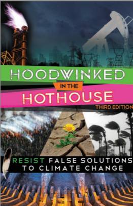 Hoodwinked Book Cover